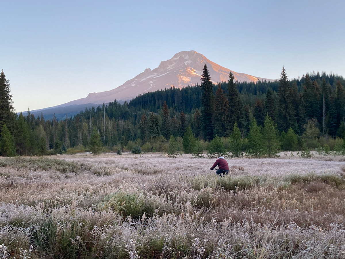 Man riding a bicycle in a meadow with Mt. Hood in the background.